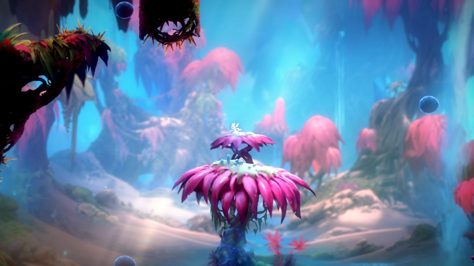 _音乐节专属：结合热门音乐现场的互动网球赛_，网球比赛音乐