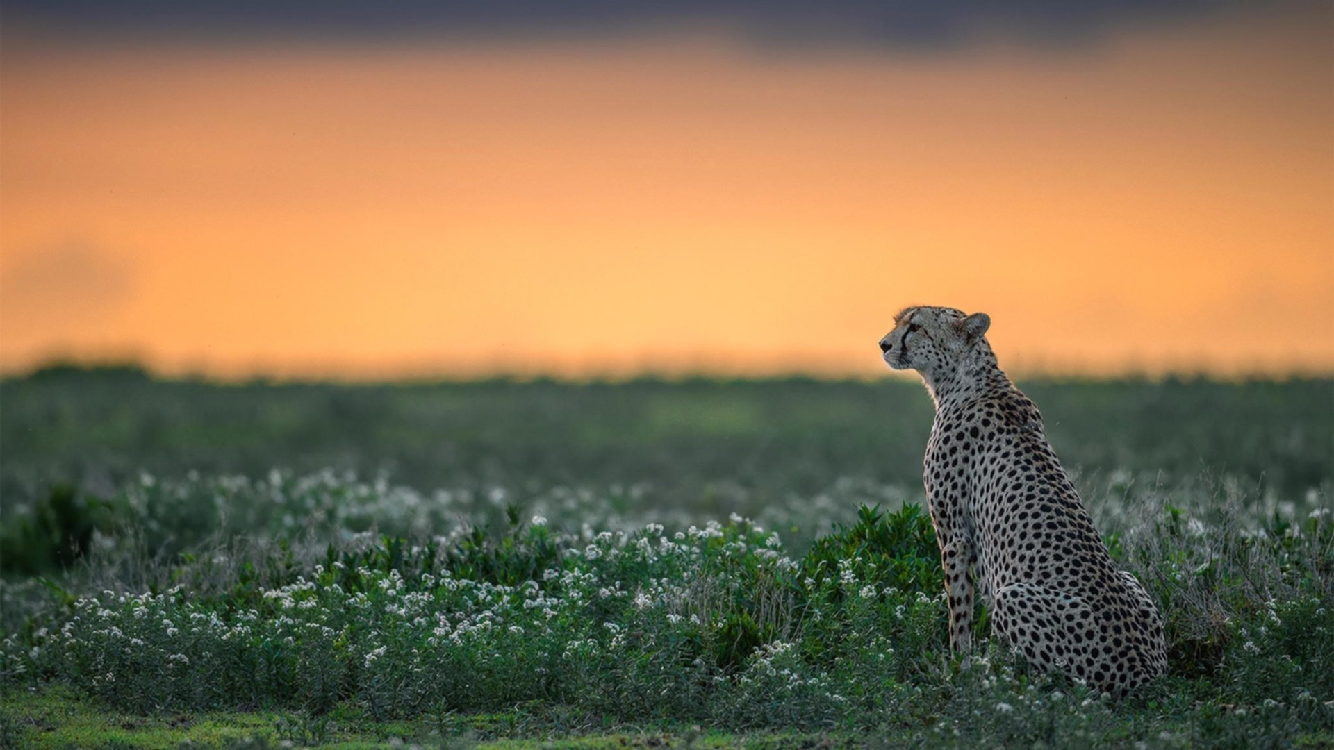 亚运赛艇首金出炉，中国队包揽前三，亚运赛艇首金出炉,中国队包揽前三名球员