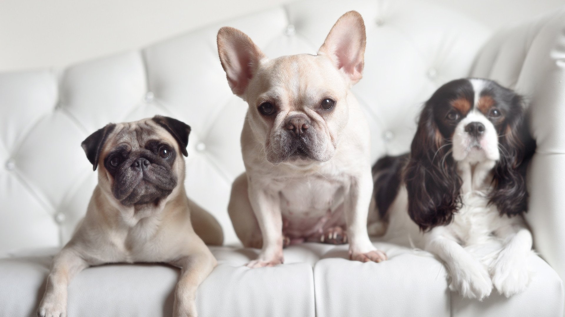 开云体育首页-中巡赛举办青少年高尔夫培训班，培养新一代球员，青少年高尔夫培训基地