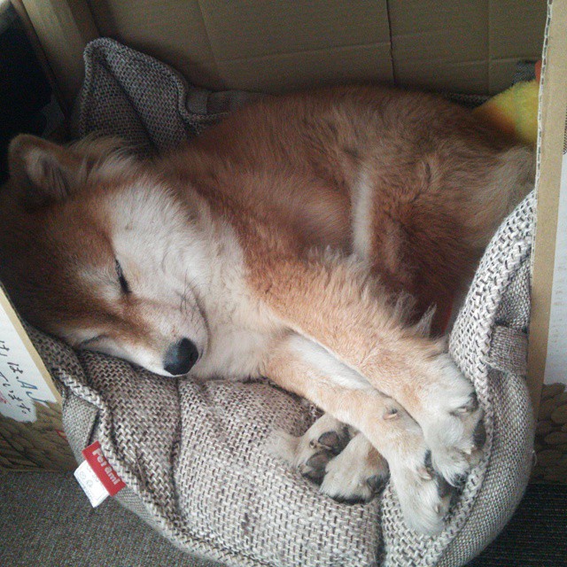 开云体育客户端-以科技创新引领的电竞行业新生态：芯片、显示、云端全面升级，电竞产业新技术