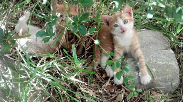 光影跑步节：用光色点亮运动激情