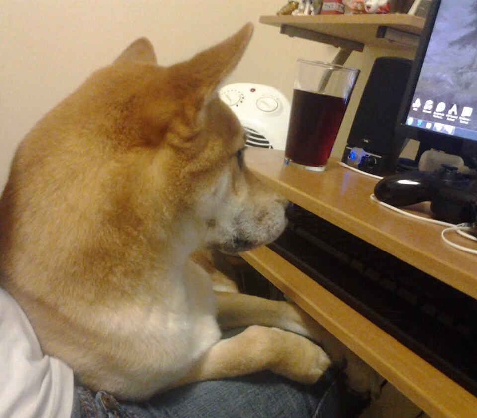 开云官方-足球运动职业技能大赛首次举办，足球业余比赛