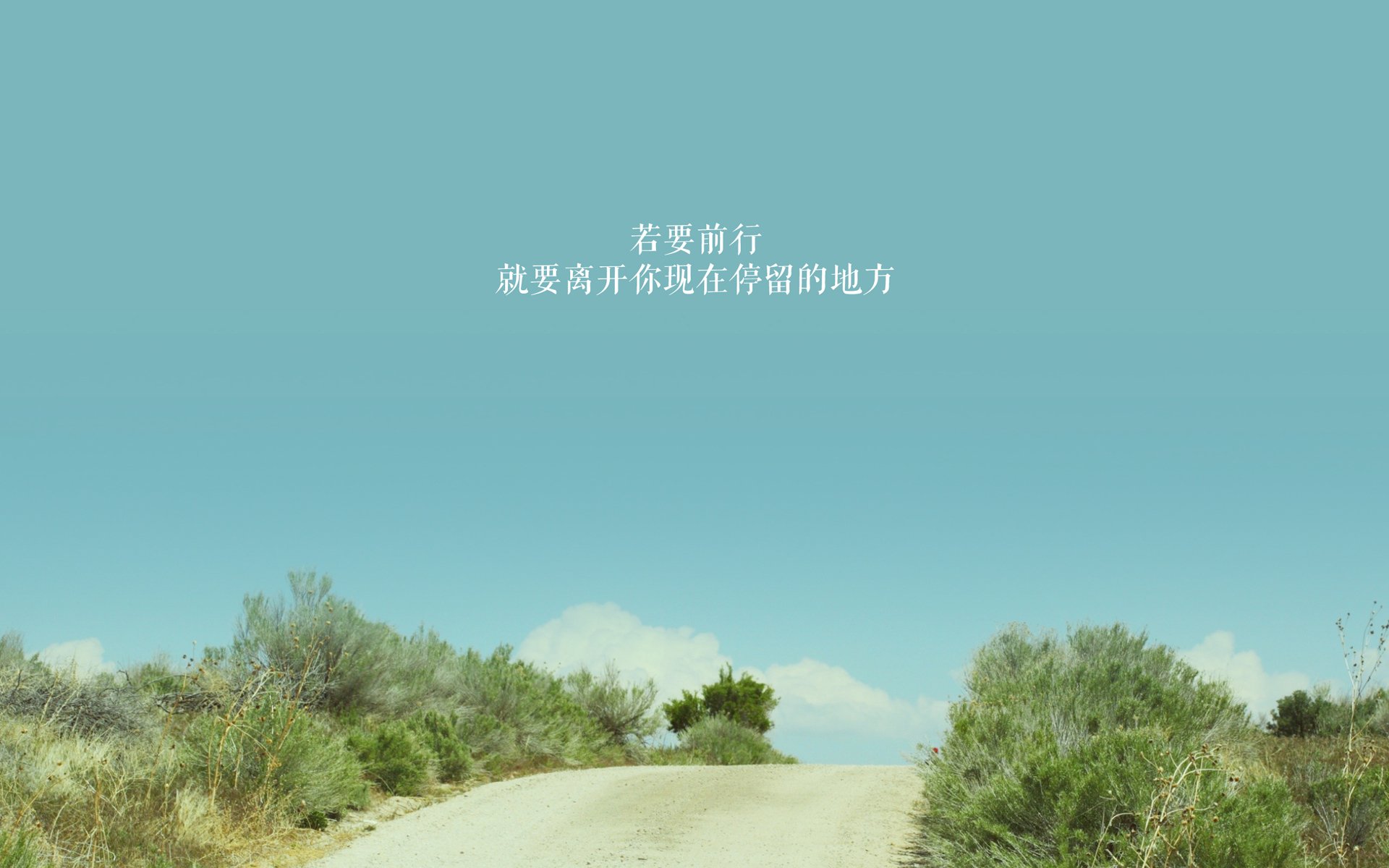 女足世界杯球队战术解析,女足世界杯球队战术解析视频