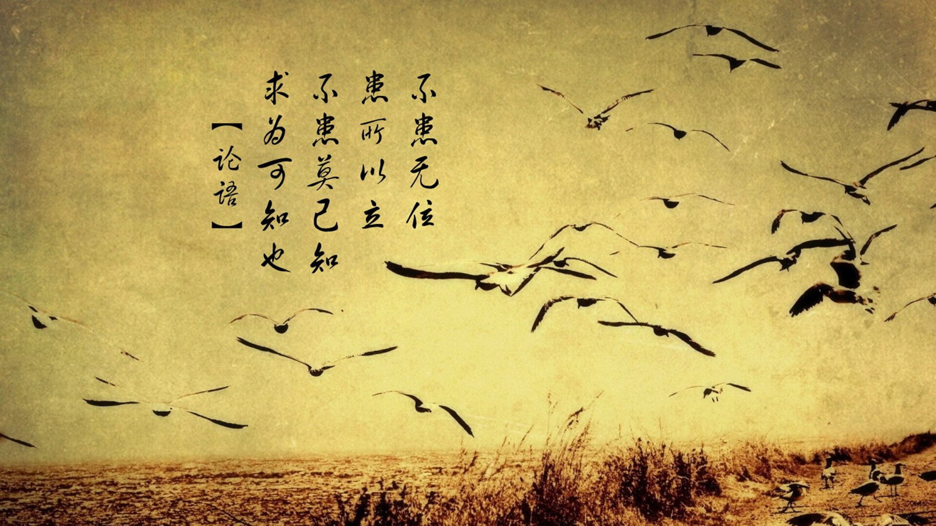 山东泰山锋线火力全开,泰山山顶风力等级