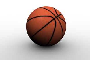 开云体育平台APP-中国篮球职业俱乐部青训人才培养路径探索，篮球青训队招聘条件