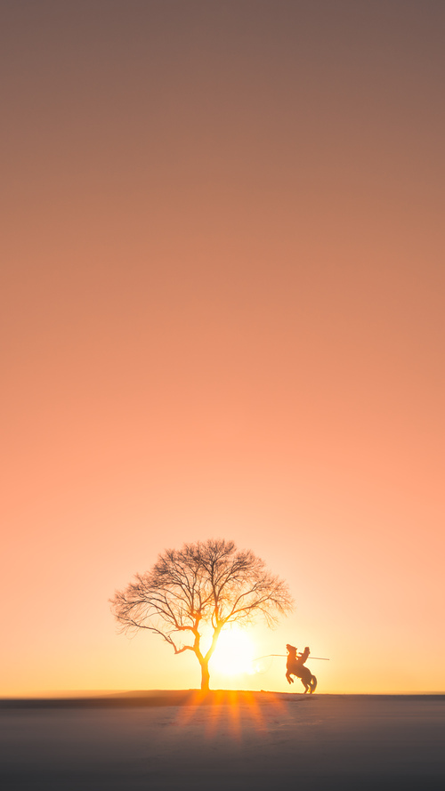 中国足球外援依赖度趋势分析，中国足球外援依赖度趋势分析图