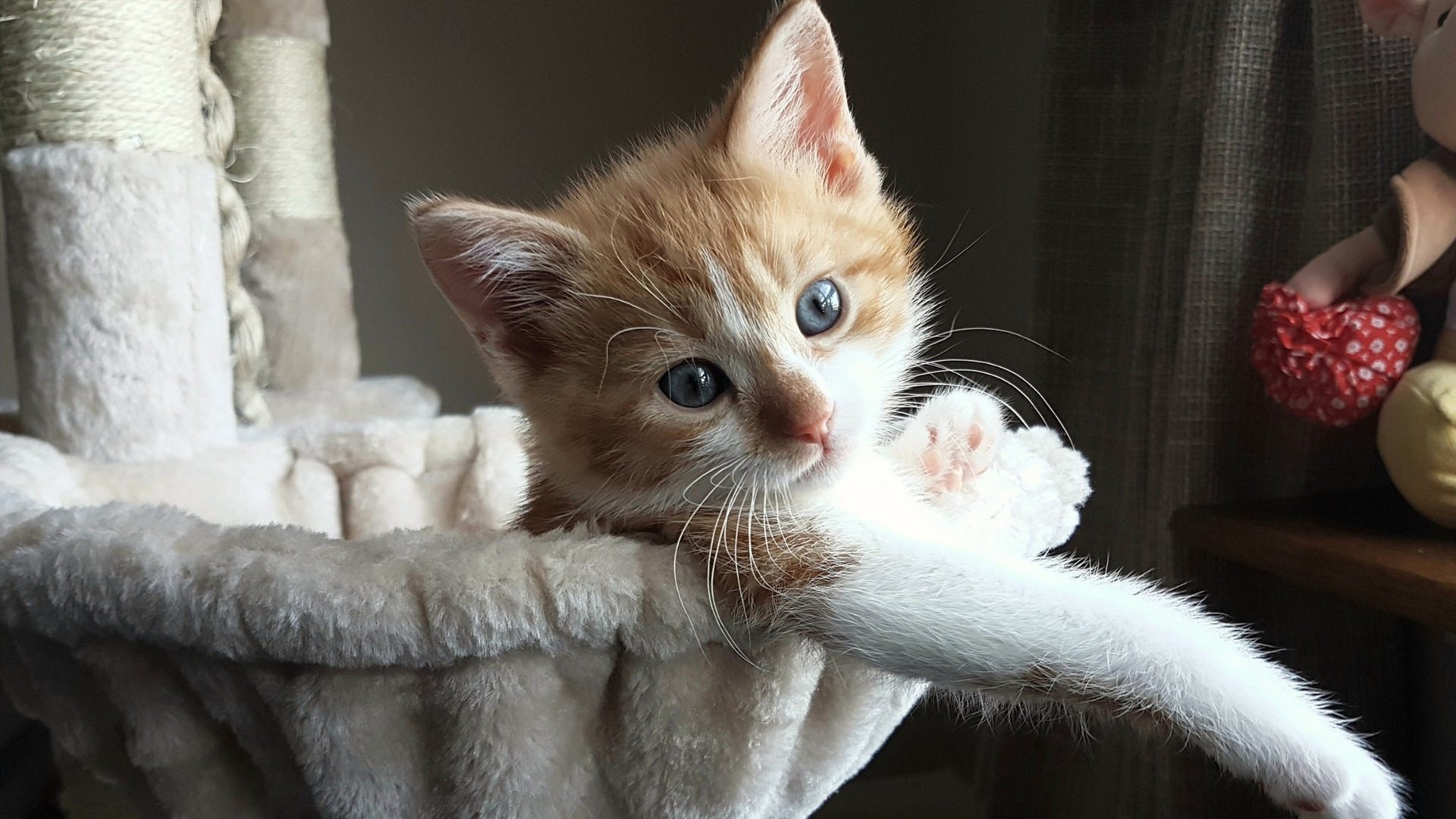 国足技战术模式与比赛节奏适配研究，国足阵容战术