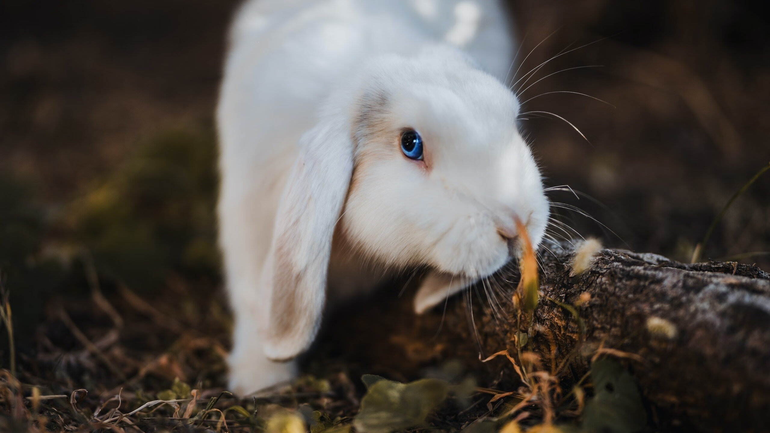 国足体能衰减节奏分布热图分析，记者_国足体能状况不太理想