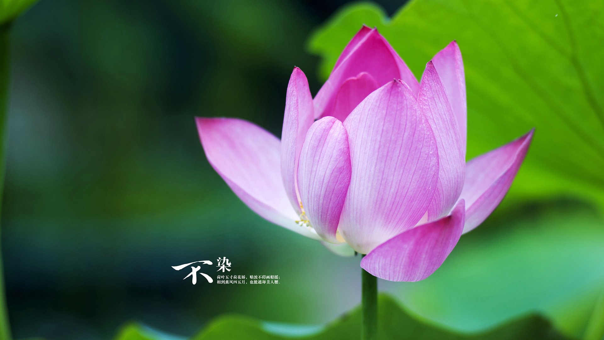 智能运动设备使用行为对锻炼习惯形成的影响，运动智能的利与弊论文