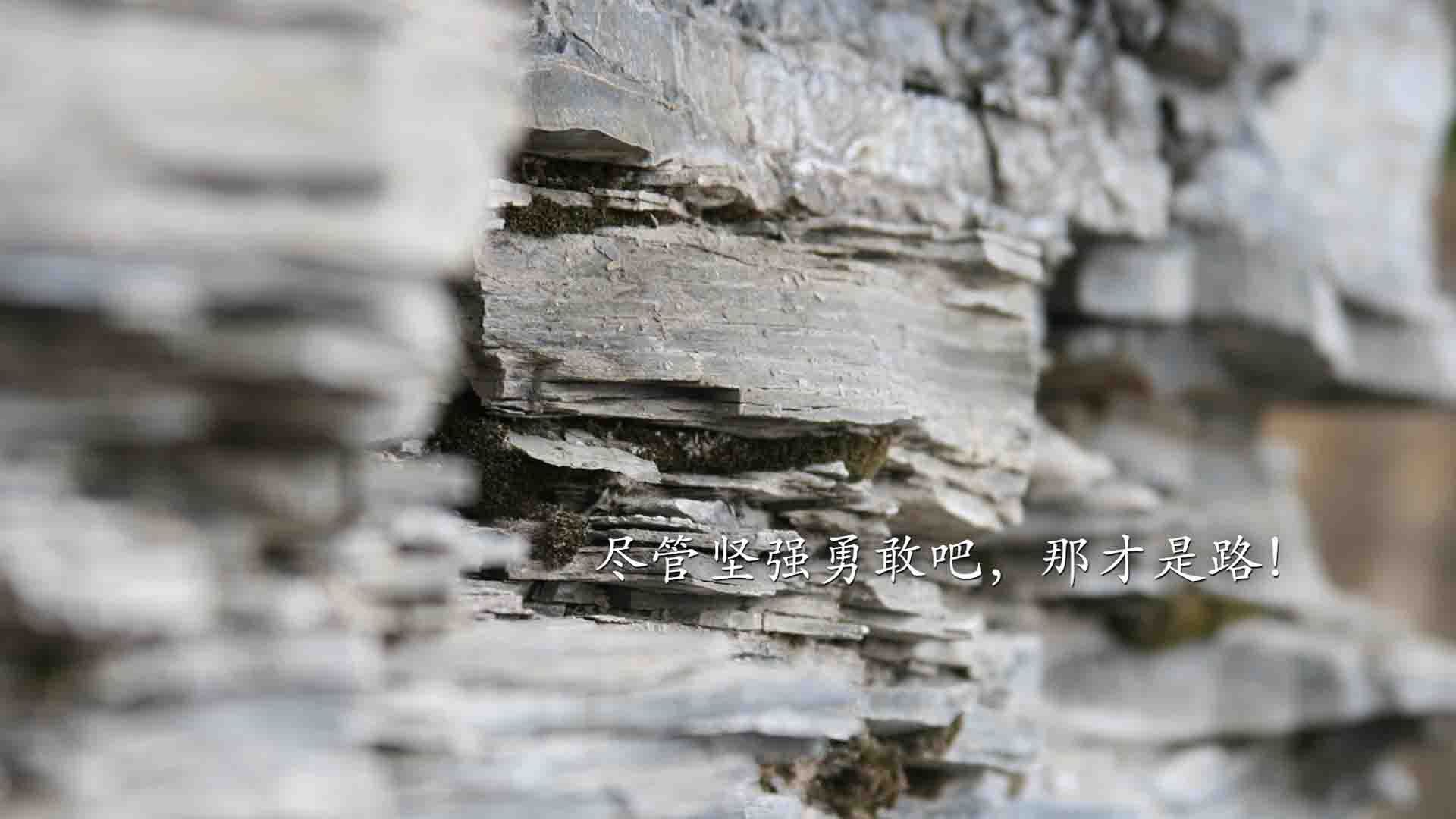 中国三人女篮不断创新打法 快速适应国际节奏,中国三人女篮阵容