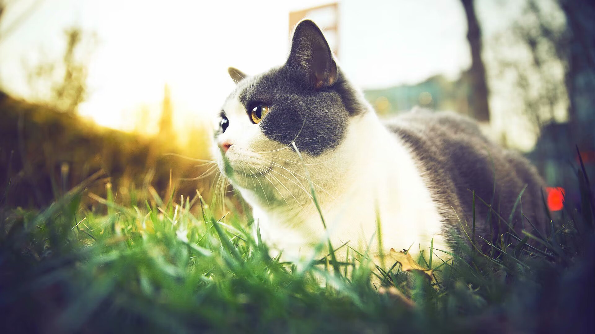 中国男篮训练营严格执行 保障球员健康,国家男篮训练基地